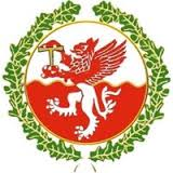 纳维治城